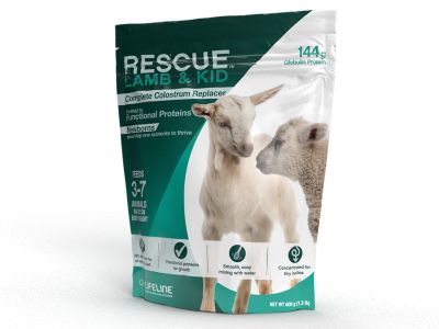 Image showing  Rescue Lamb & Kid Complete Colostrum Replacer, 600 G