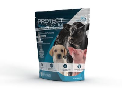Lifeline Protect All Species Colostrum Replacer, 50g Globulin Protein