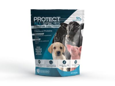 Image showing  Protect All Species Colostrum Replacer, 50g Globulin Protein