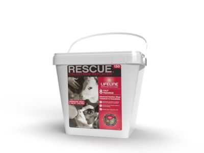 Lifeline Rescue 150G Colostrum Replacer, 8 Feedings, 3.4 Kg (8.8 lb.) Pail