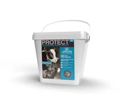 Lifeline Protect Colostrum Supplement for Calves, 50G