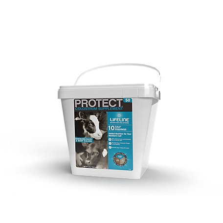 Lifeline Protect 50G Colostrum Supplement, 10 Feedings, 4.53 Kg (10 lb.) Pail