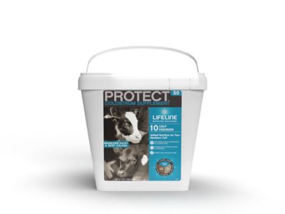 Image showing  Protect Colostrum Supplement for Calves, 50G