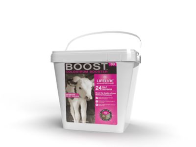 Lifeline Boost 30G Dairy Maternal Colostrum Supplement, 24 Feedings, 5.44 Kg (12 lb.), 60715