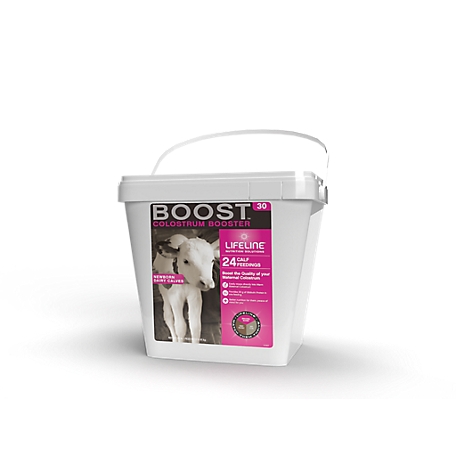 Lifeline Boost 30G Dairy Maternal Colostrum Supplement, 24 Feedings, 5.44 Kg (12 lb.), 60715