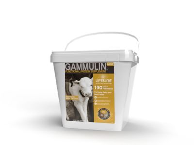 Lifeline Gammulin Immune System and Intestinal Health Support, 320 Feedings, 4.53 Kg (10 lb.) Pail