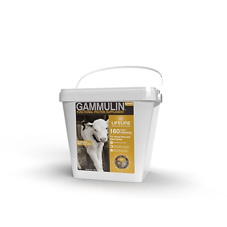 Lifeline Gammulin Immune System and Intestinal Health Support, 320 Feedings, 4.53 Kg (10 lb.) Pail, 61519