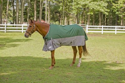 TuffRider 1200D Ripstop Medium Weight 200 gram Two Tone Turnout Blanket with Standard Neck