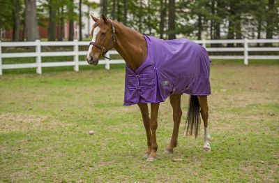 TuffRider Super Comfy 1680D 200g Mediumweight Horse Blanket with Standard Neck