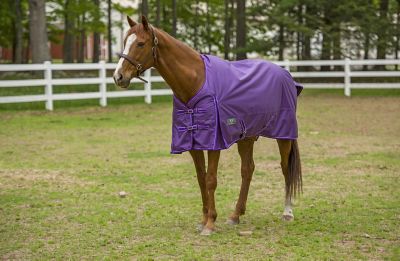 Image showing  200g/1680D Super Comfy Mediumweight Horse Blanket with Standard Neck