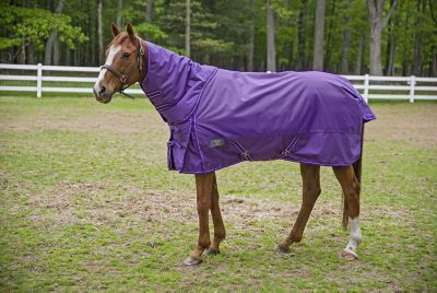 TuffRider Super Comfy 350g/1680D Poly Heavyweight Horse Blanket with Detachable Neck