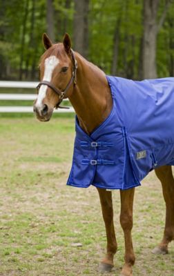 Image showing  Super Comfy 350g/1680D Poly Heavyweight Horse Blanket with Detachable Neck