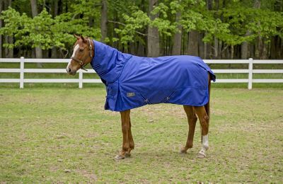 TuffRider Super Comfy 350g/1680D Poly Heavyweight Horse Blanket with Detachable Neck