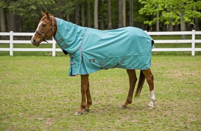 Image showing  1200D Winter Comfy Detachable Neck Sheet