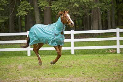 Image showing  1200D Winter Comfy Detachable Neck Sheet