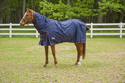 Image showing  1200D Winter Comfy Detachable Neck Sheet