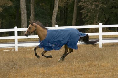 TuffRider 1200 D Comfy Winter Blanket, 69 in.,Palace Blue at Tractor ...