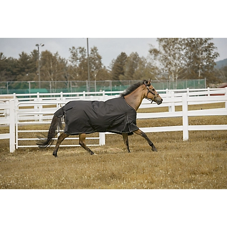 TuffRider Comfy Winter 1200D 200g Mediumweight Horse Blanket