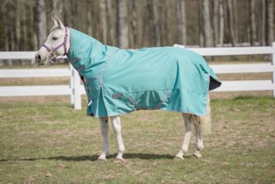 Image showing  Comfy Winter 200g/1200D Poly Mediumweight Turnout Horse Blanket with Detachable Neck