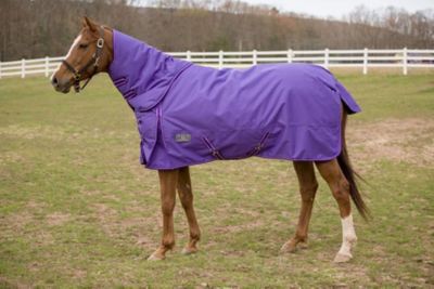 TuffRider Comfy Winter 200g/1200D Poly Mediumweight Turnout Horse Blanket with Detachable Neck