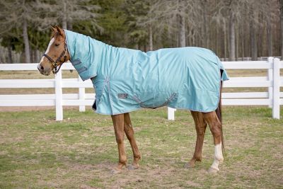 The Fox Stable Blanket – AJ Equine Supply