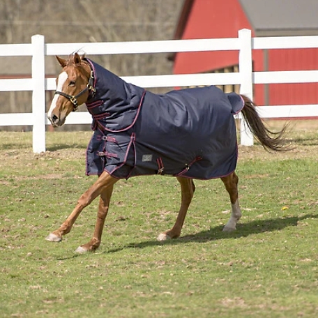TuffRider Comfy Winter 600D 200g Mediumweight Turnout Horse Blanket with Combo Neck