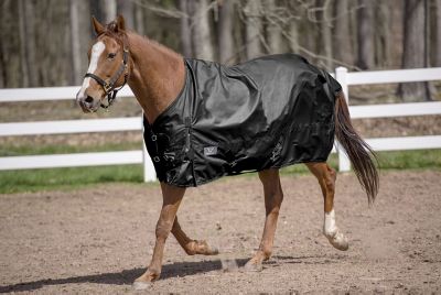 TuffRider Comfy Winter 600D Turnout Horse Sheet with Standard Neck