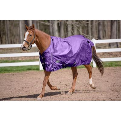 Product color Purple