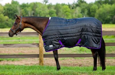 TuffRider Kozy Komfort Stable Blanket, 75 in.,Black at Tractor Supply Co