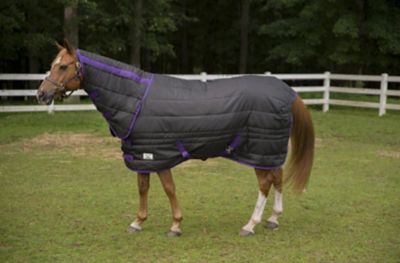 Image showing  Kozy Komfort Combo Stable Blanket