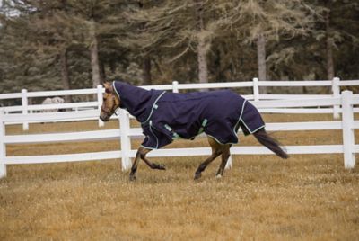 TuffRider All-Season Horse Blanket with Detachable Neck