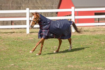 TuffRider Comfy Winter 350g Heavyweight Horse Blanket with Detachable Neck