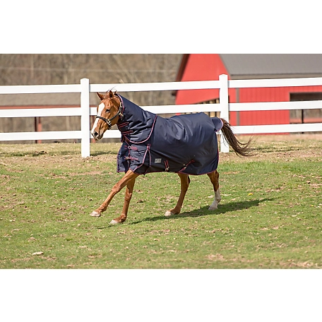 TuffRider Comfy Winter 350g Heavyweight Horse Blanket with Detachable Neck