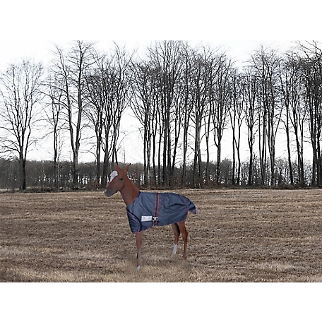 TuffRider 1200D Ripstop Foal Adjustable Turnout Blanket
