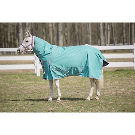 TuffRider 1200 D Comfy Winter Medium Weight Turnout Blanket with Detachable Neck