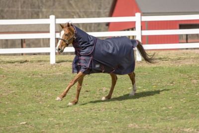 TuffRider Comfy Winter 200g/1200D Poly Mediumweight Turnout Horse Blanket with Detachable Neck