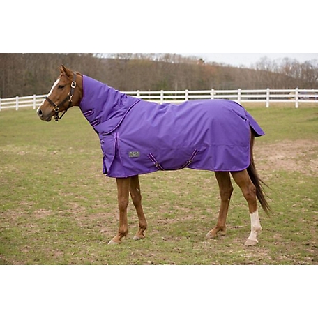 TuffRider 1200 D Comfy Winter Medium Weight Turnout Blanket with Detachable Neck