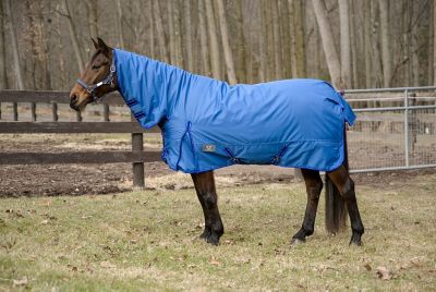 TuffRider 600 D Comfy Winter Medium Weight Turnout Blanket with Combo Neck