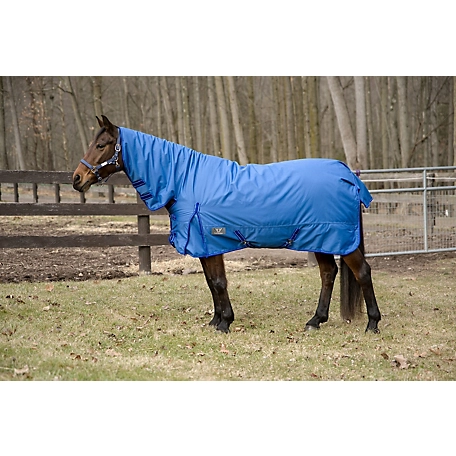 TuffRider 600 D Comfy Winter Medium Weight Turnout Blanket with Combo Neck