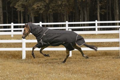 TuffRider All-Season Horse Blanket with Detachable Neck