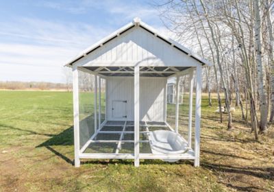 Image showing  Modern Duck Barn, 15 Duck Capacity