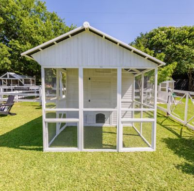 Image showing  Modern Chicken Barn, 20 Chicken Capacity