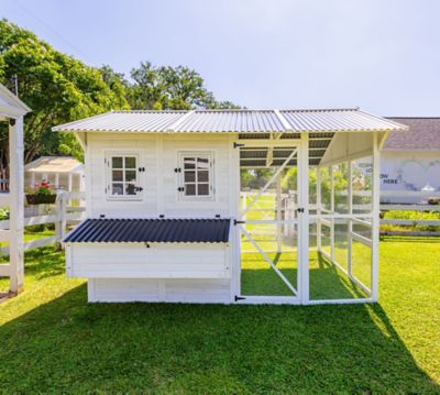 Image showing  Modern Chicken Barn, 20 Chicken Capacity