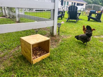 Image showing  1-Compartment Best Rest Nesting Box