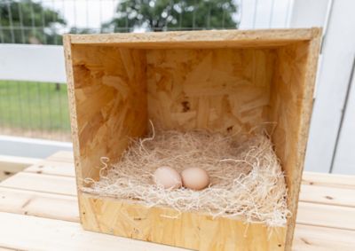 Image showing 5 th Zylina 1-Compartment Best Rest Nesting Box