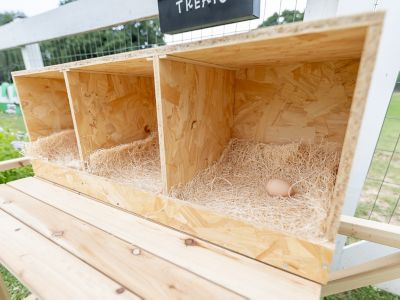 Image showing  3-Compartment Best Rest Nesting Box