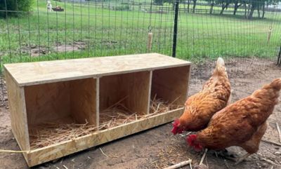 Image showing 6 th Zylina 3-Compartment Best Rest Nesting Box