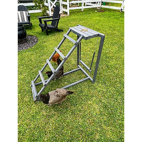 Zylina Play-N-Roost Ladder & Swing, DDP-1742