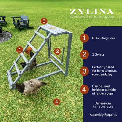 Image showing  Play-N-Roost Ladder & Swing