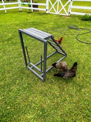 Image showing  Play-N-Roost Ladder & Swing